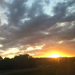 Meet your Posher, Jolee